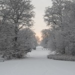 Frederiksberg Have