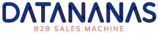 The Datananas B2B Sales Machine logo used in 2018