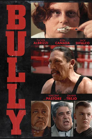Affiche de Bully