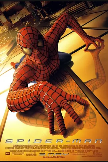 Affiche de Spider-Man
