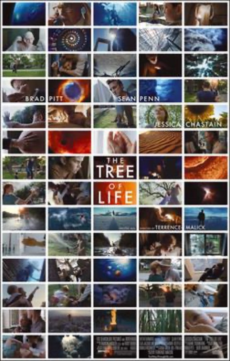 Affiche de The Tree of Life